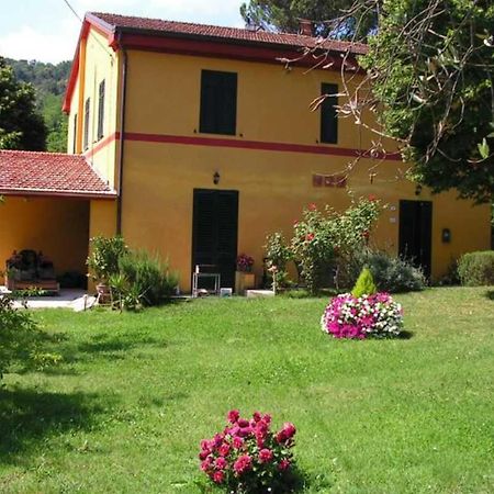 فندق A Casa Di Antonio لوكا المظهر الخارجي الصورة