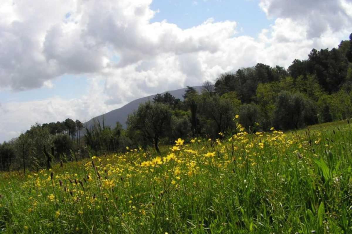 فندق A Casa Di Antonio لوكا المظهر الخارجي الصورة